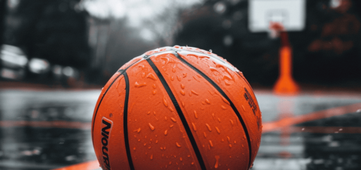 basketball ball